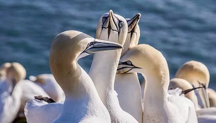 贾玲减肥一百斤能带火健身市场吗？